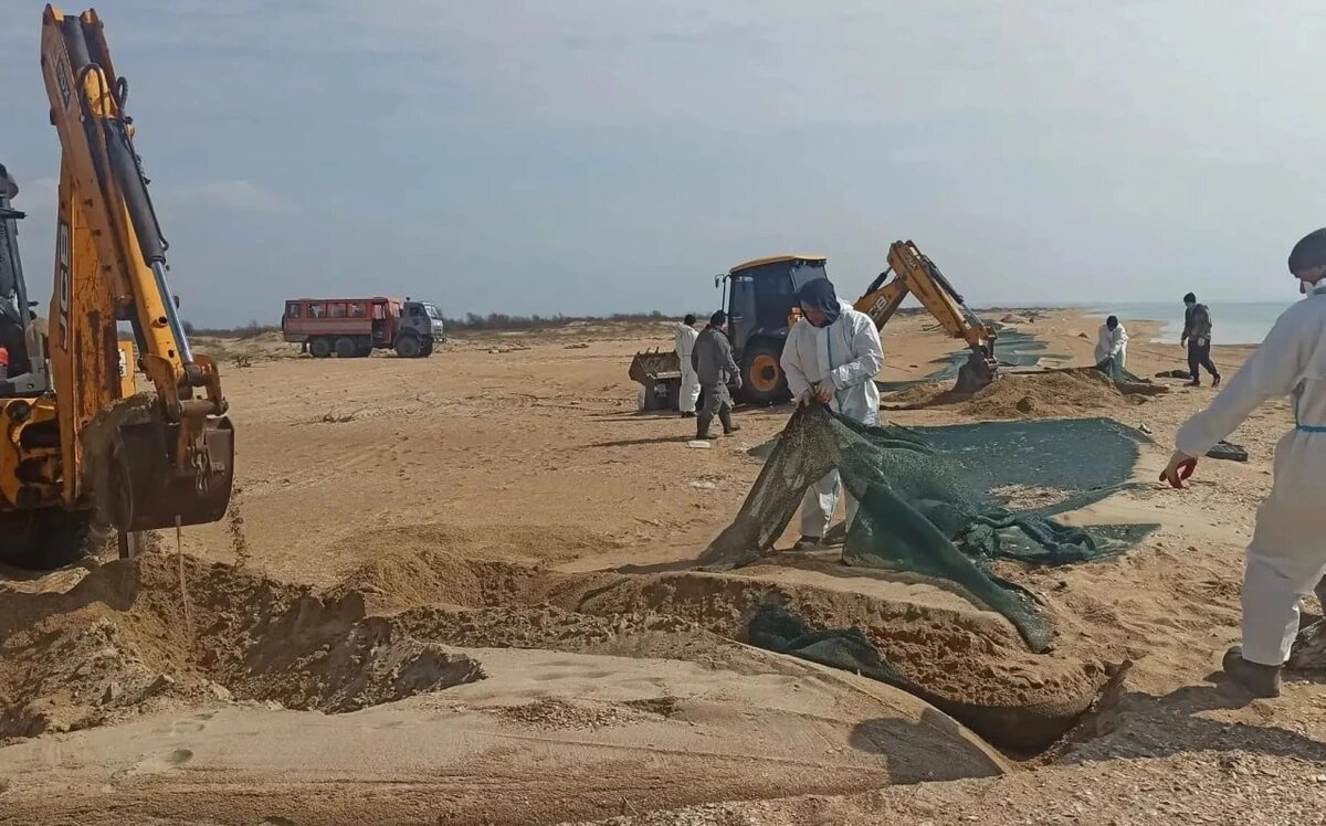    Фото оперативного штаба Краснодарского края