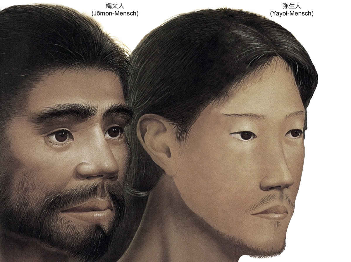 Физиогномические различия между людьми дземон и иммигрантами яеи, предками современных японцев.