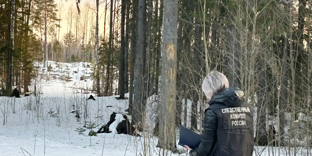 В Карелии рыбак погиб после провала под лед