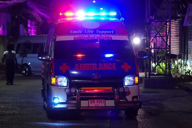    Источник: lenta.ru/ Полина Потапова