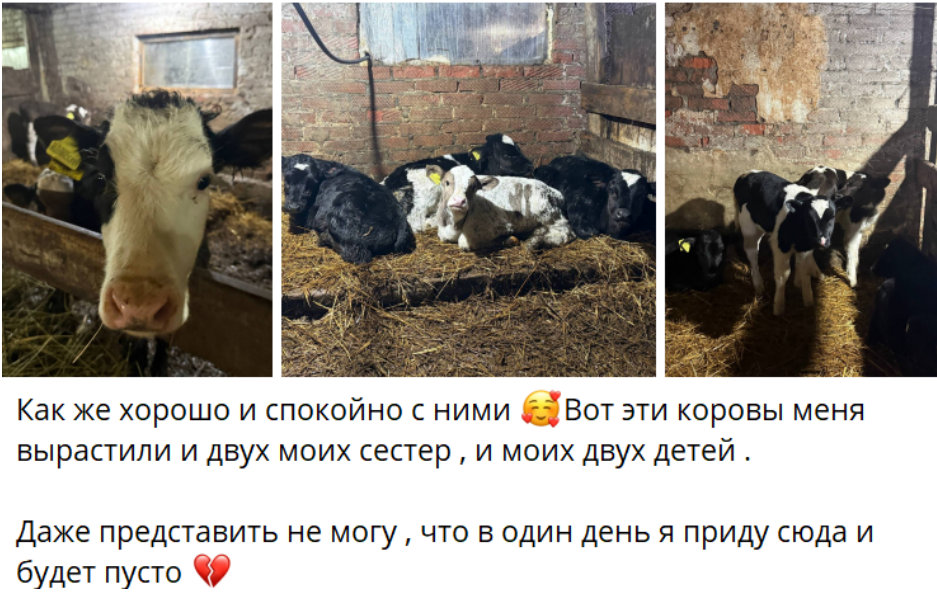 Скрин с тг-канала.