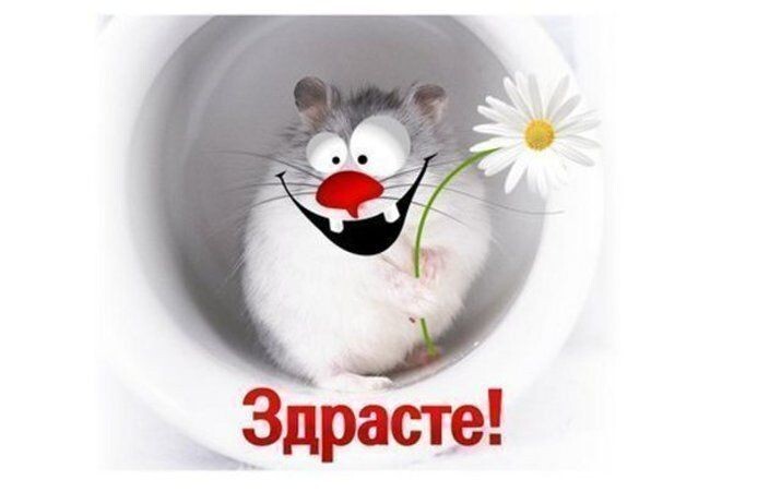 фото из интернета