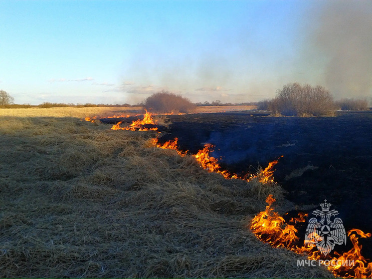     Чаще всего причиной таких пожаров становится человеческая неосторожность. Фото: пресс-служба МЧС по Новгородской области