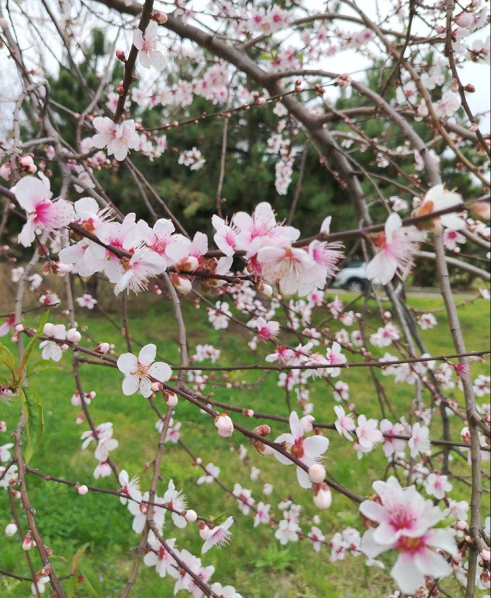 Фото из Сочи, где отдыхаю в последнее время. Солнце теплое, виды прекрасные.