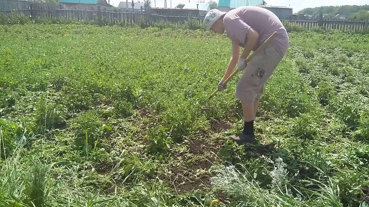 Источник фото: Яндекс картинки