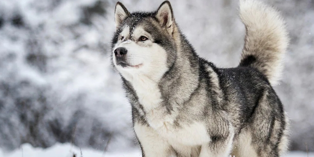 На остановке