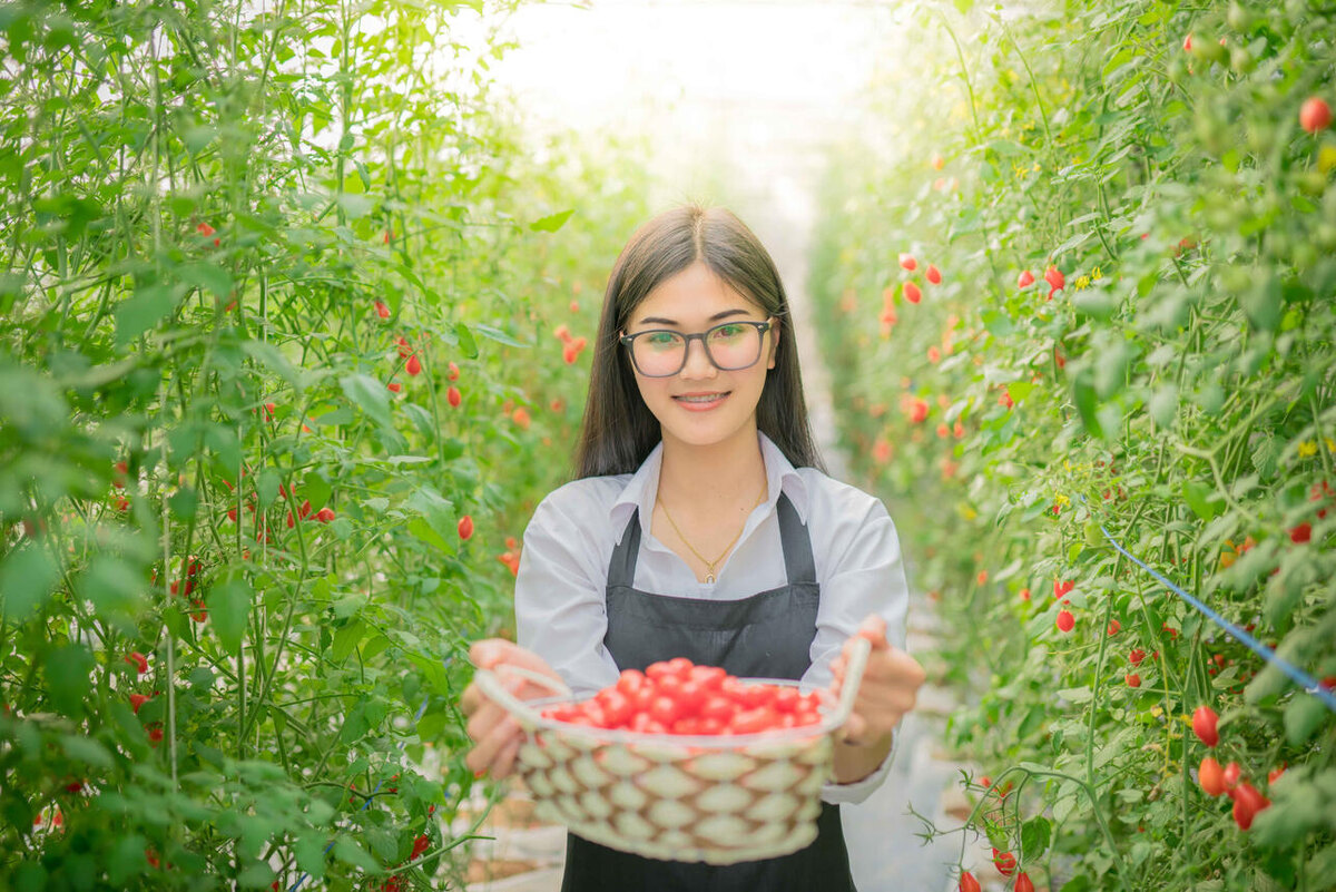    Томаты 123RF/legion-media.ru