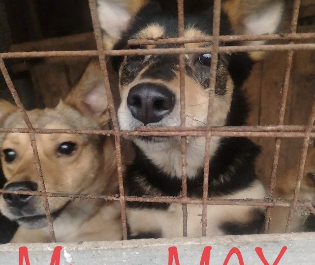 Мы Махимально на связи.