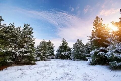 Из интернета.