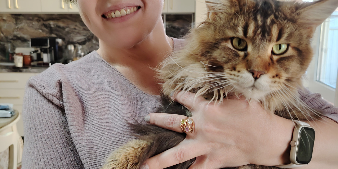 Были в гостях у родственников, как без фото с котом? У них новый гаджет, нужен ли мне такой?