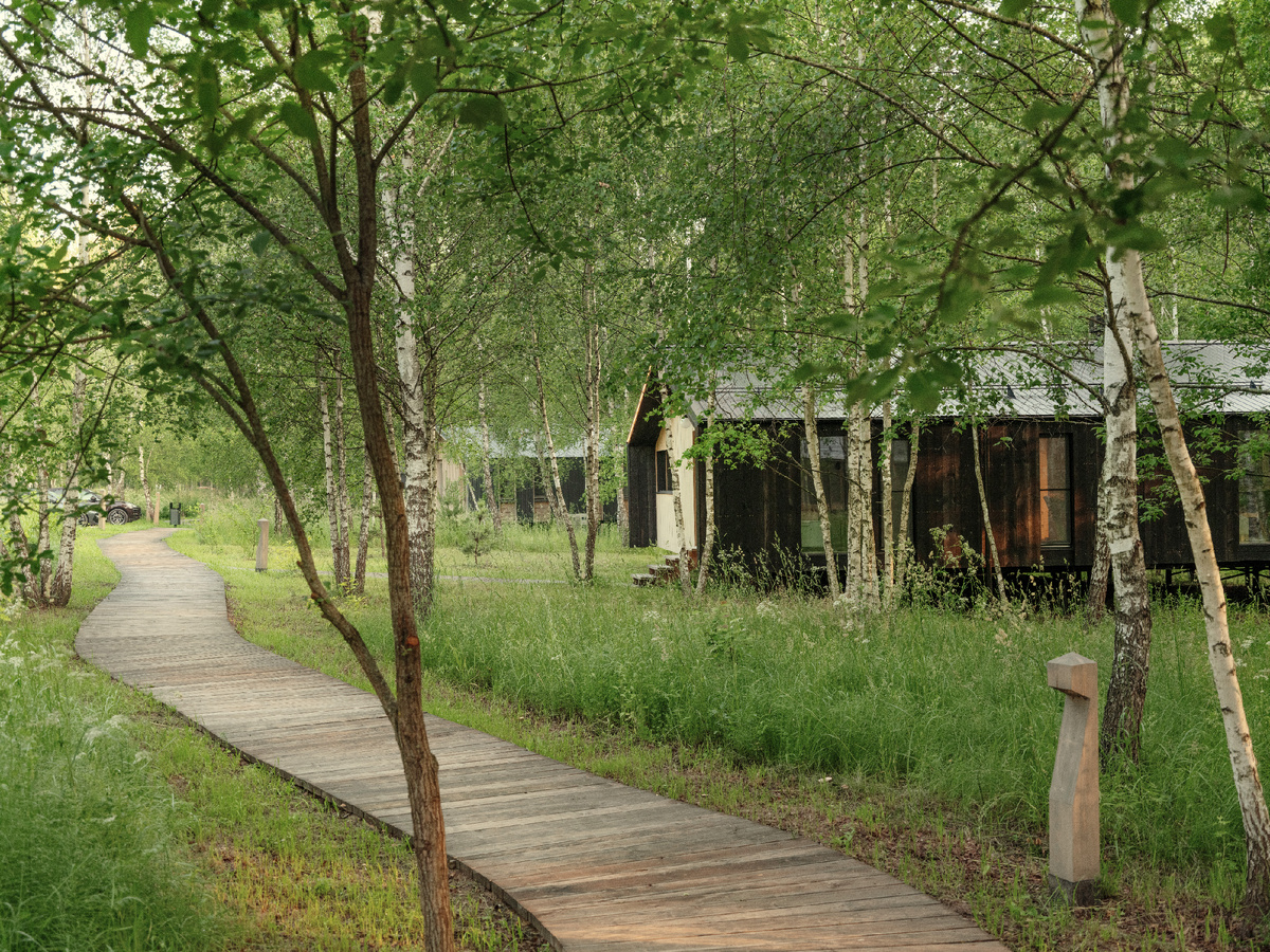 Никаких заборов между участками