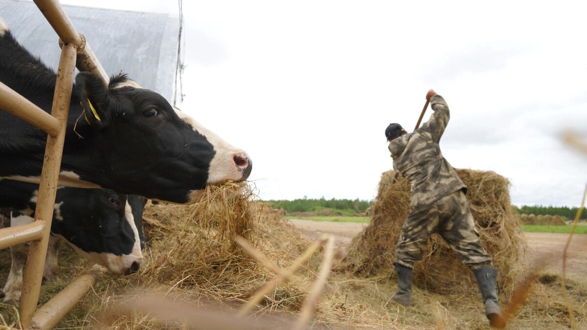    Фото: Юлия Чудинова/«Ямал-Медиа»