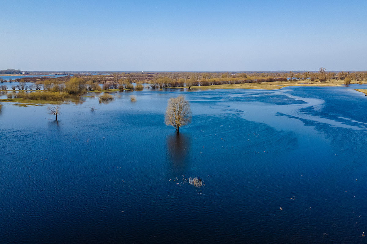    Фото: kalyanby / Shutterstock.com