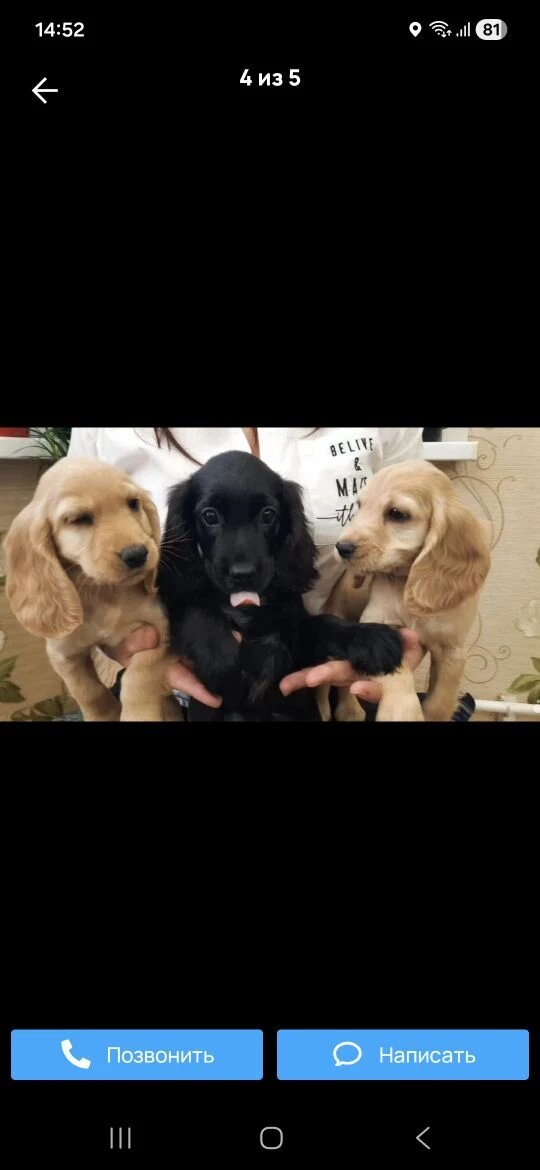 Моя по середине.