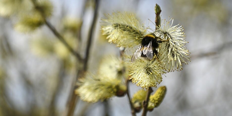    Фото: портал мэра и правительства Москвы/Дарья Мясина