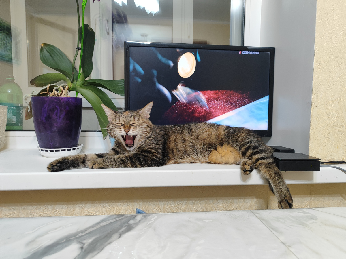 Матюся как всегда прекрасна и удивительна.