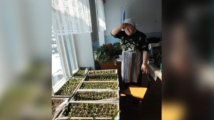 Когда сажать рассаду в 2026 году: сроки и правила посева для хорошего урожая. Фото © ТАСС / Евгений Епанчинцев