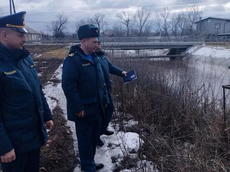    Фото: МЧС России