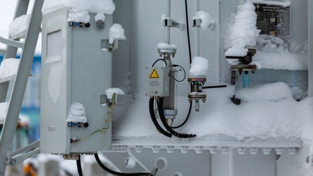    Фото: Юлия Чудинова/«Ямал-Медиа»