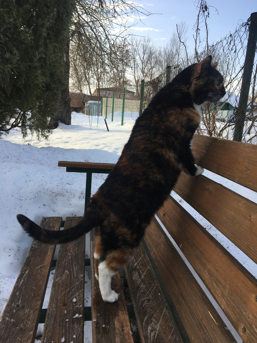 На прогулке. Фото автора