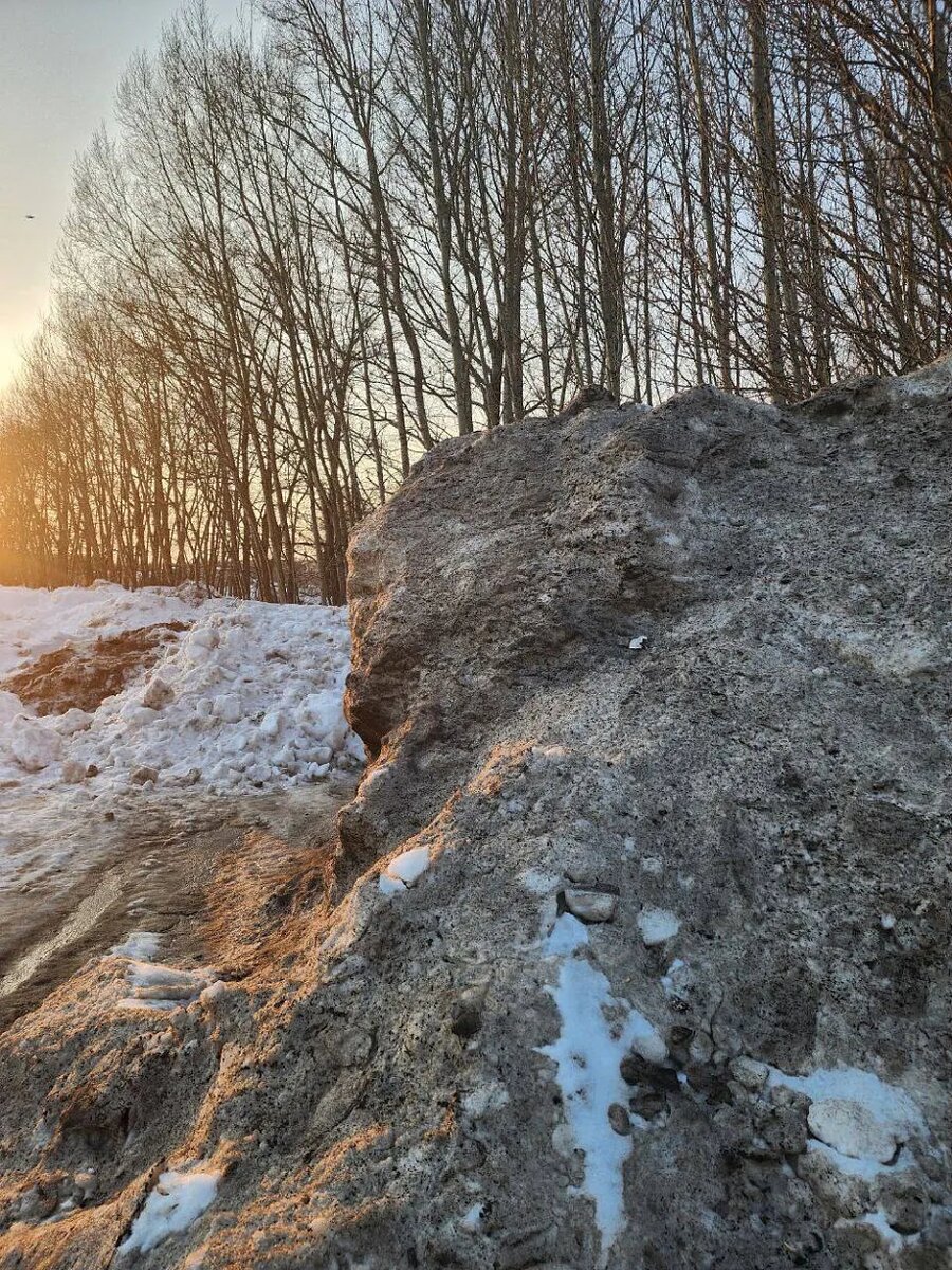    Фото: Пресс-служба регионального отделения партии «Новые люди»