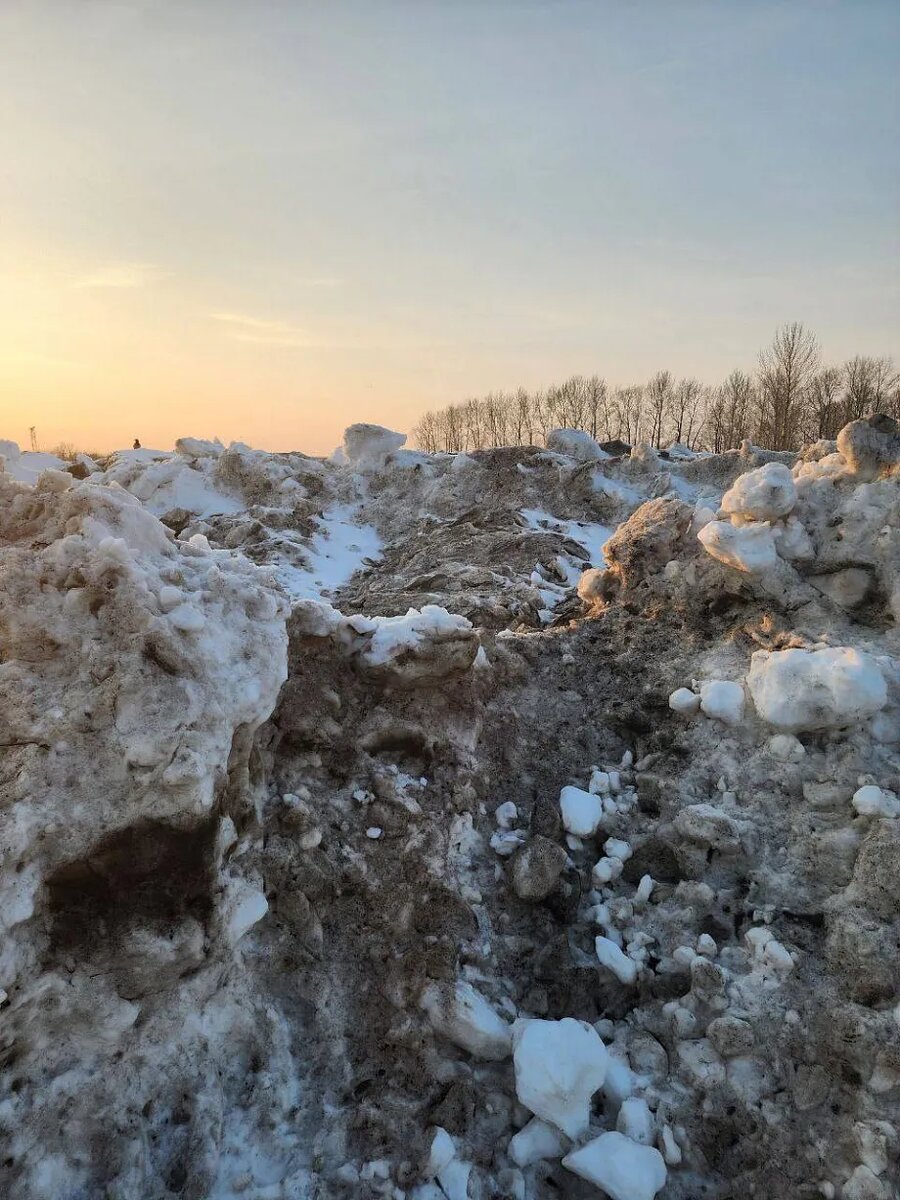    Фото: Пресс-служба регионального отделения партии «Новые люди»