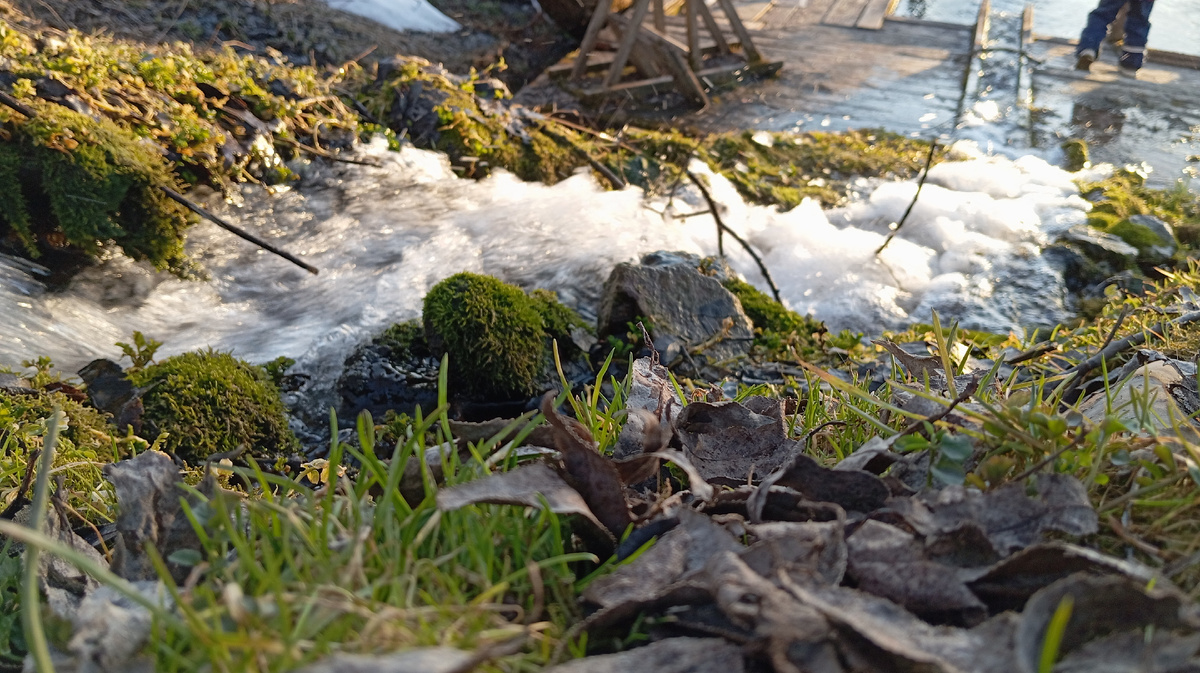 Долина источников в Русиново (Калужская область). Фото из личного архива