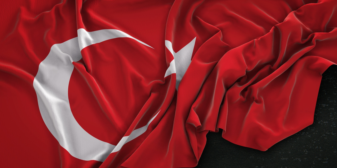 В МИД Турции осудили присоединение Крыма к России