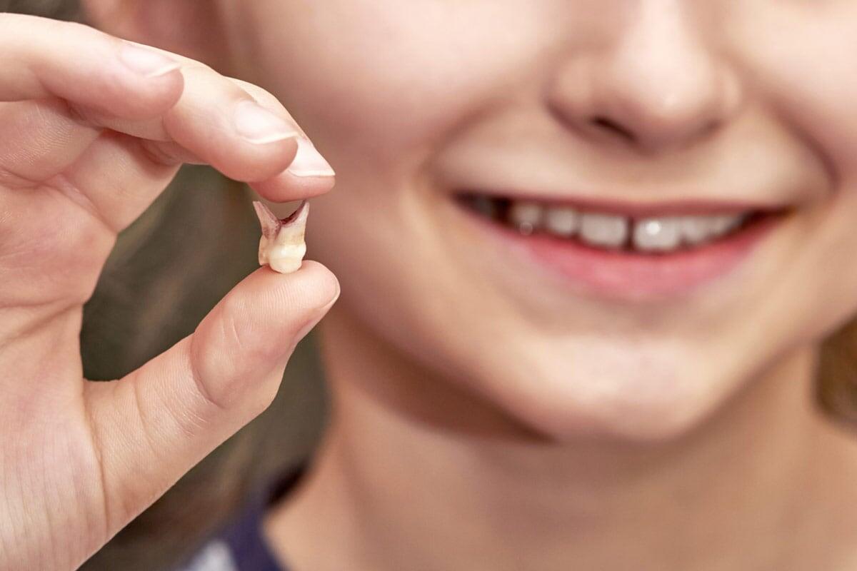 Фото с сайта: https://cangurunews.com.br/projeto-autismo-fada-do-dente/