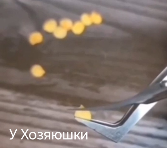 Скарификация - хитрый способ ускорить прорастание семян. 