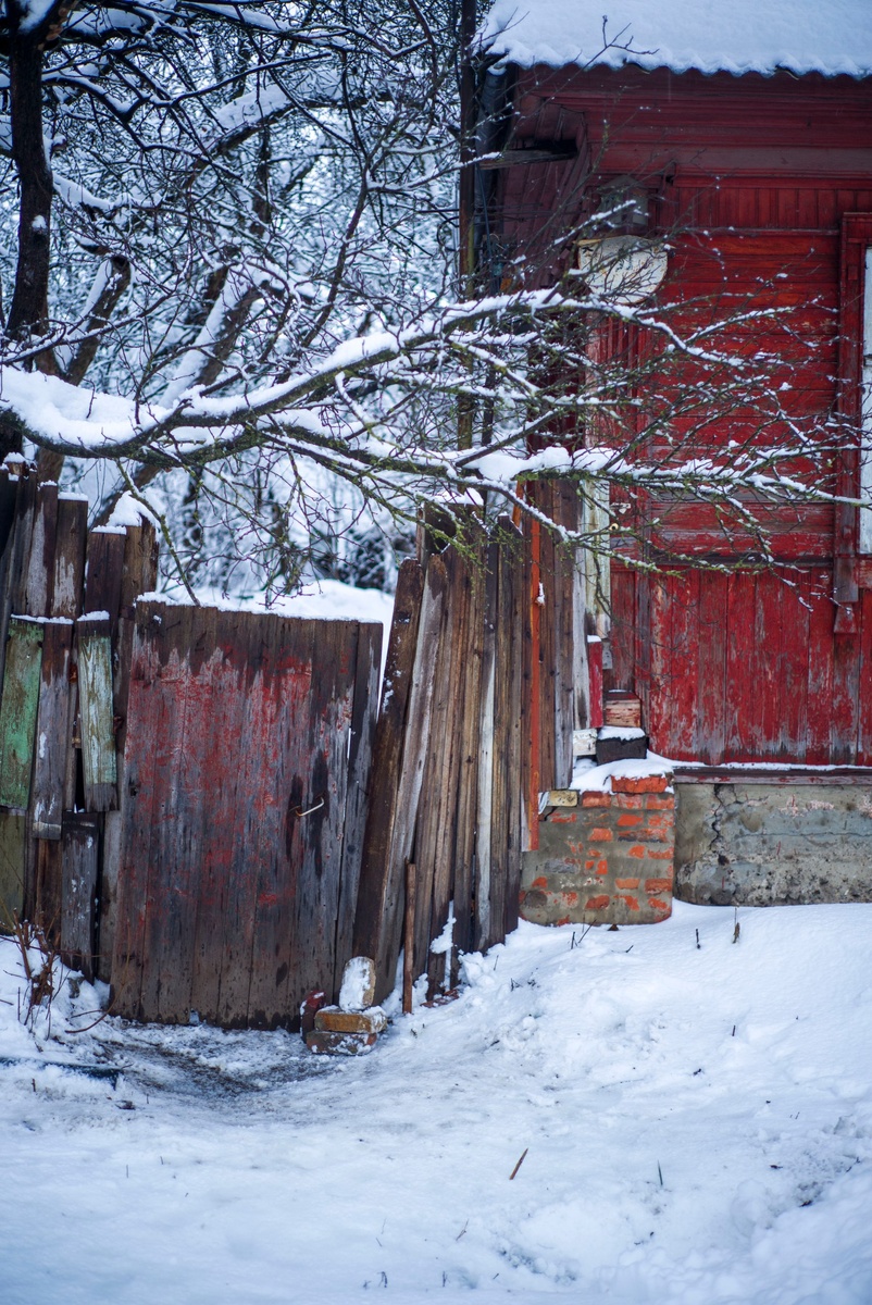 Фото: Александр Панов