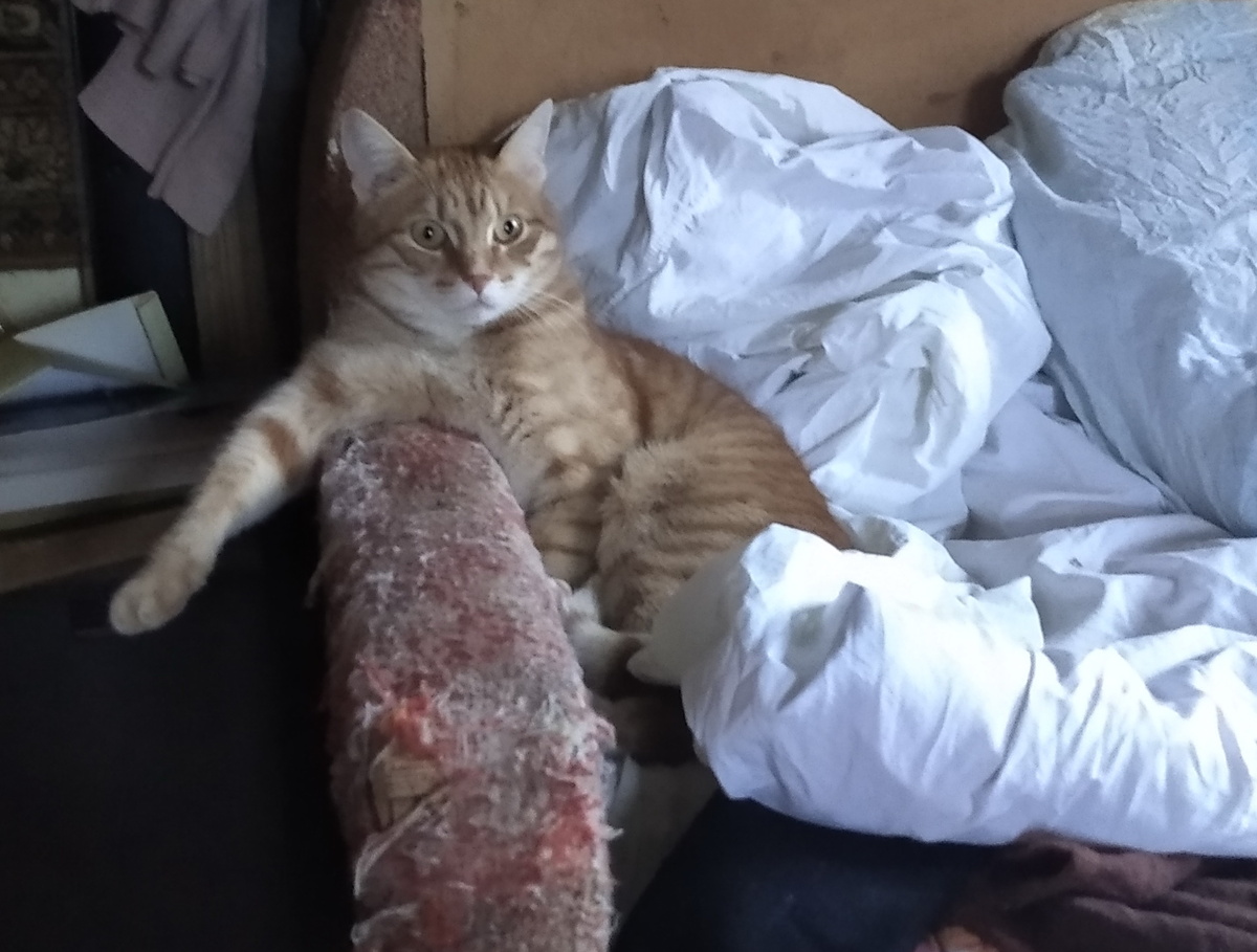 личное фото