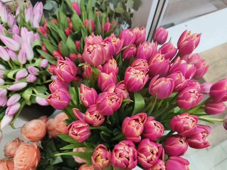     На форуме участники узнают, как реализовать амбициозные жизненные планы. Фото: Архив МК в Великом Новгороде