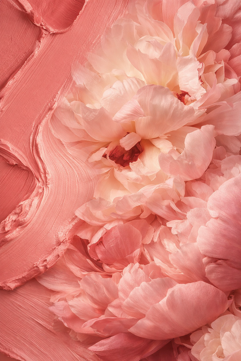 Румяна у меня ассоциируются с нежностью цветочных лепестков