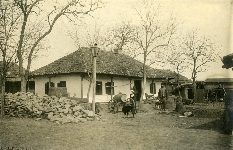 фото из открытого источника