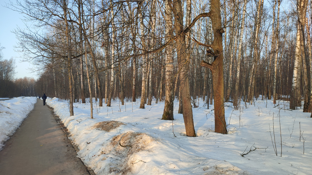 Дорога на станцию