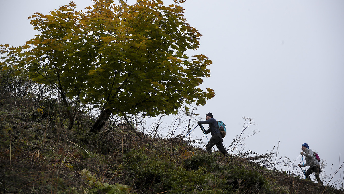   Дмитрий Феоктистов / ТАСС