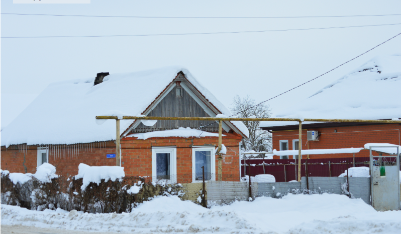 Фото автора. Январь 2026. Станица.