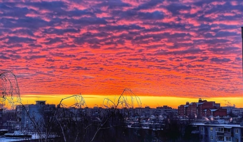 Фото: Александр Панов