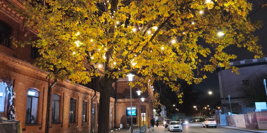 Глава 5. Надежда