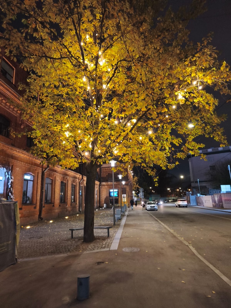 Фото: Александр Панов