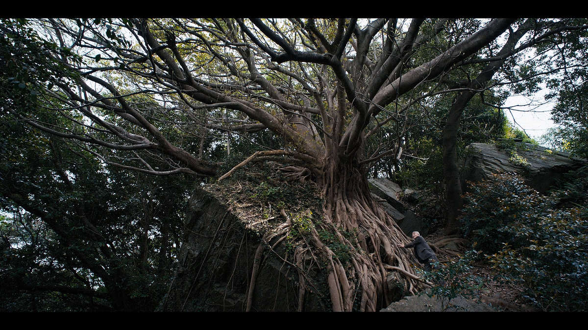 Кадр из фильма Семья в аренду (2025)