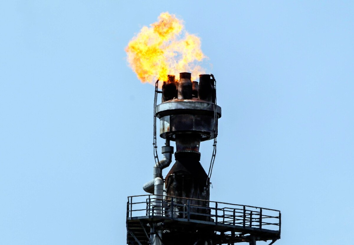     / Источник: © Global Look Press