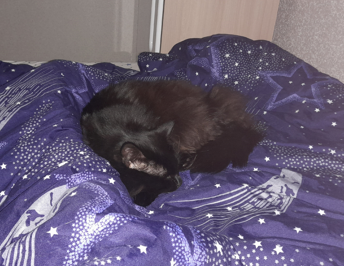 5 килограммов нежности и обожания.