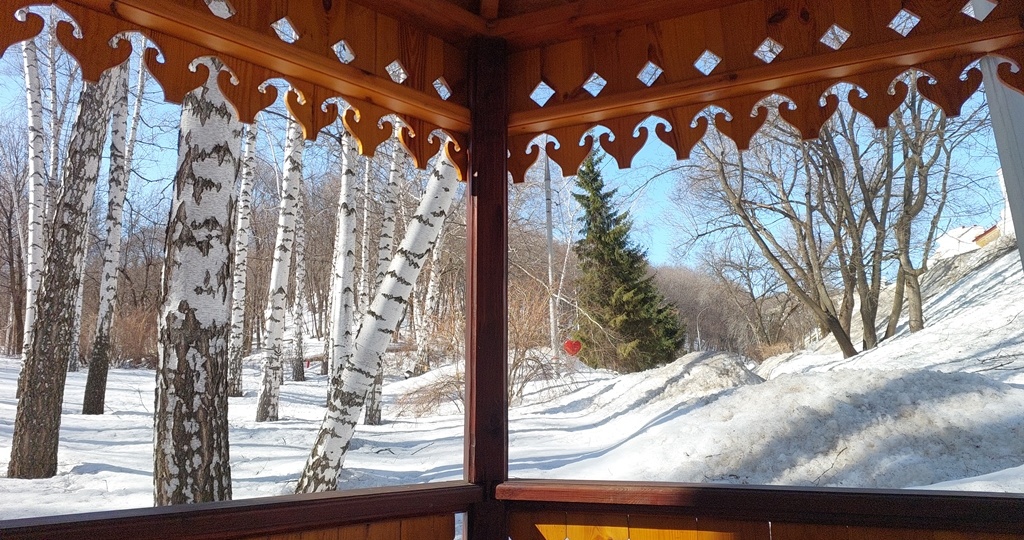 До леса так и не дошли...