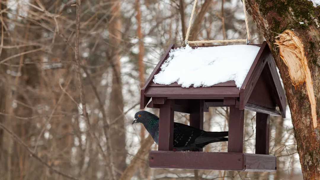 Фото: медиасток.рф
