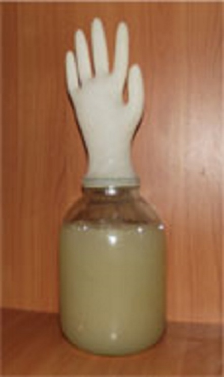 из интернета