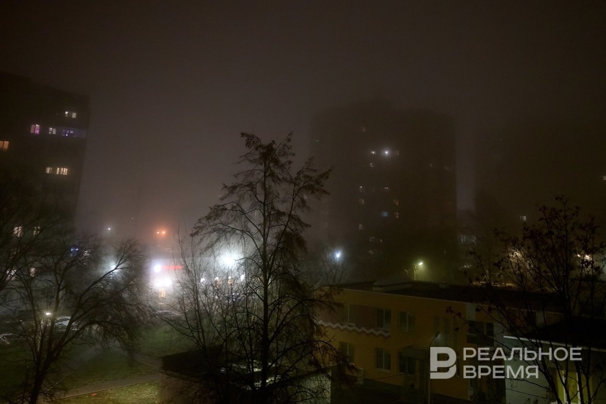   Динар Фатыхов / realnoevremya.ru