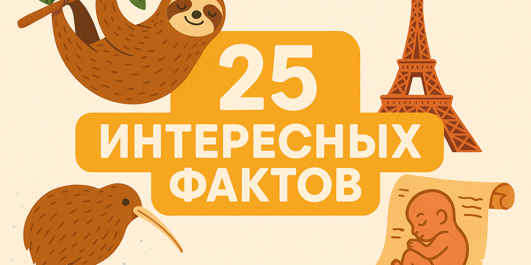 25 интересных фактов