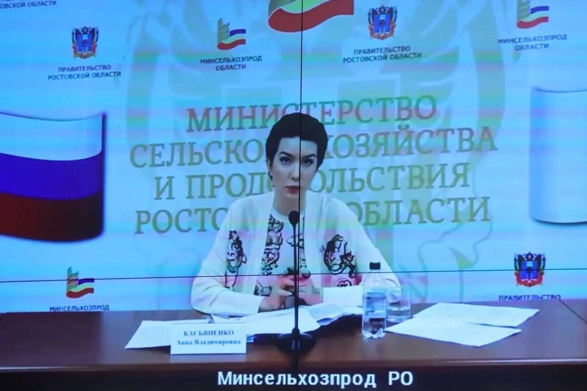    Фото: ТГ канала Юрия Слюсаря